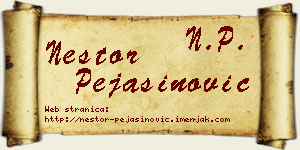 Nestor Pejašinović vizit kartica